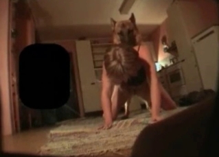 Kinky bitch and a shepherd