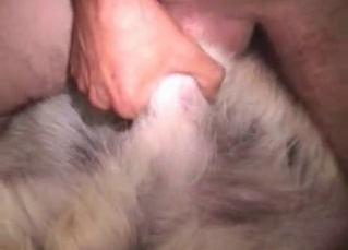 Ass drilling for a slutty husky