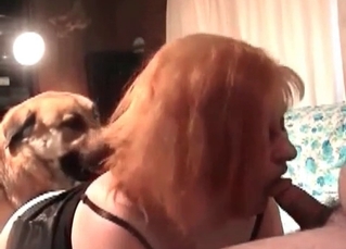 Kinky retriever pounding pussy